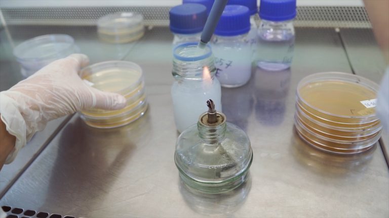 How To: Flame Test